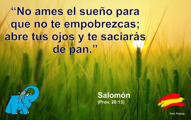 No ames el sueño para que no te empobrezcas; abre tus ojos y te saciarás de pan.